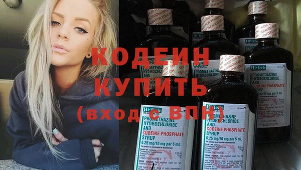 дживик Гусь-Хрустальный