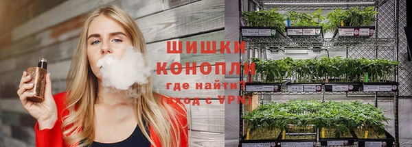 СК Надым