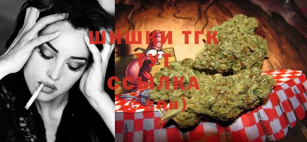 СК Надым