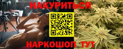 гидра Гусев