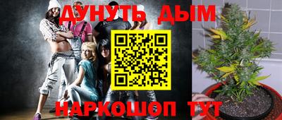 mdpv Гусиноозёрск