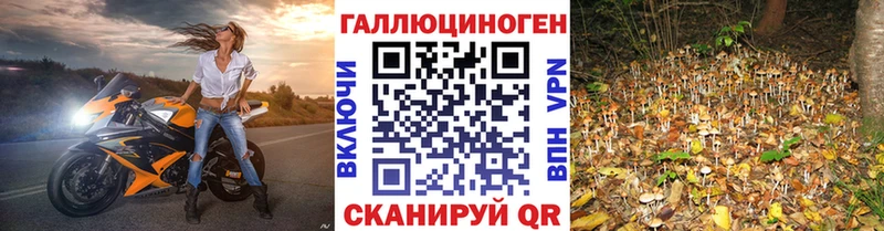 наркотики  Протвино  Галлюциногенные грибы MAGIC MUSHROOMS 
