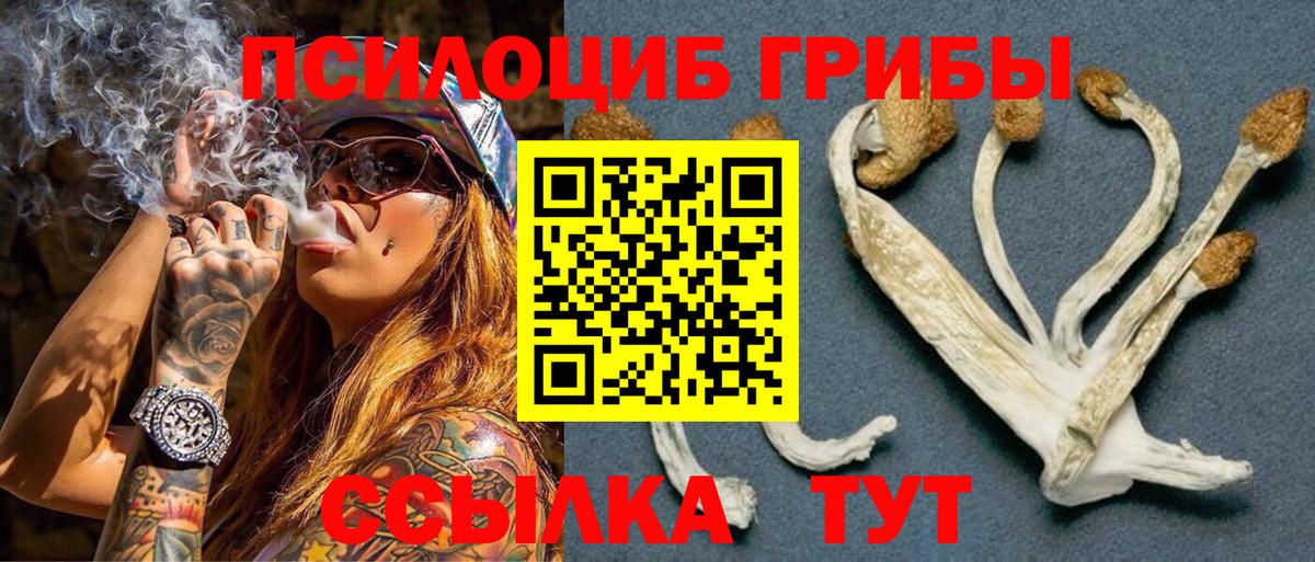 Протвино  Галлюциногенные грибы Magic Shrooms  дарнет шоп  Вход с VPN 